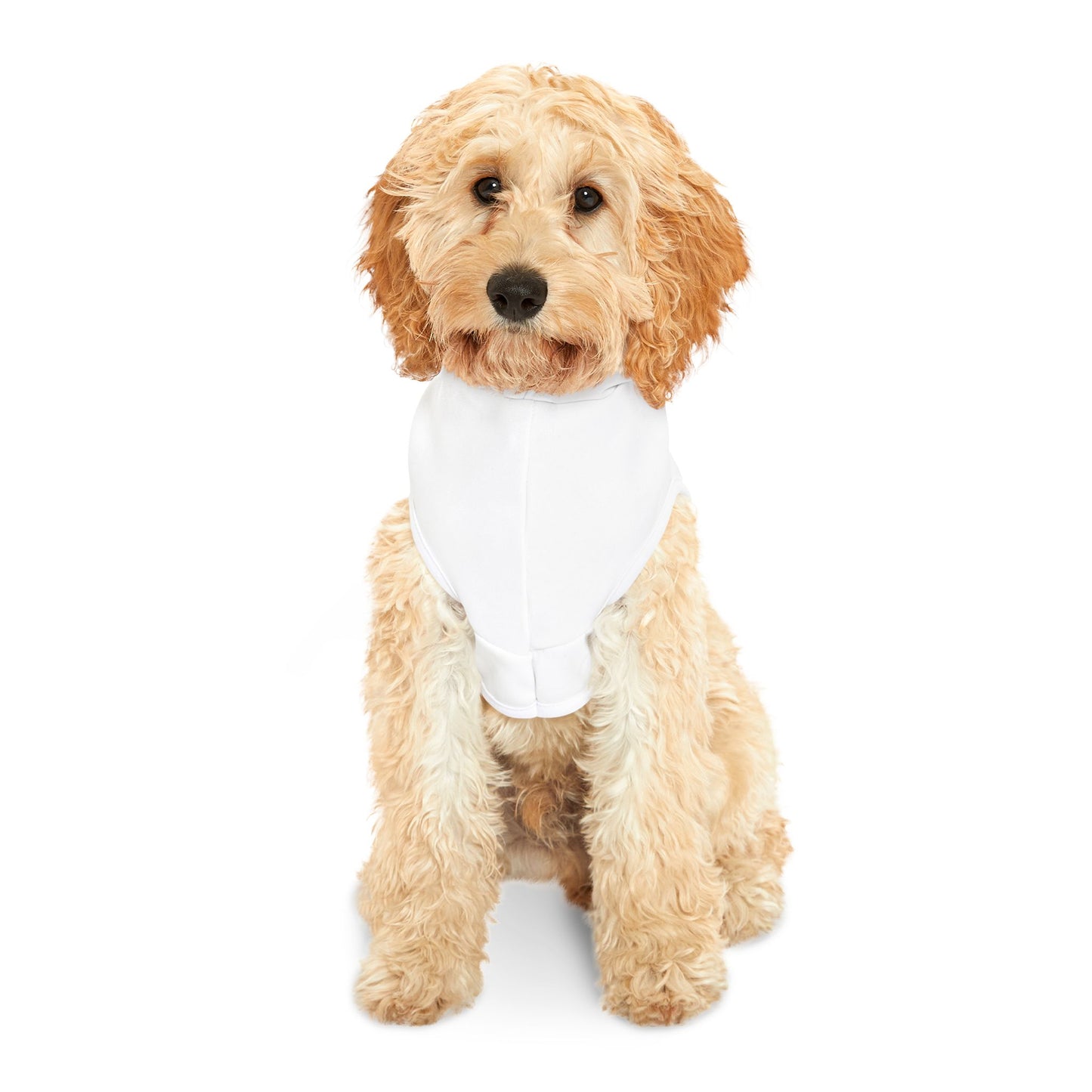 Pet Hoodie — "Water Baby" Graphic Dog & Cat Hoodie (Pink & Blue)